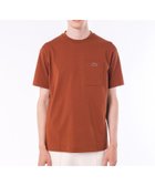 【ラコステ/LACOSTE】のアウトラインクロックポケット半袖Tシャツ 人気、トレンドファッション・服の通販 founy(ファニー) ファッション Fashion レディースファッション Fashion for Women トップス・カットソー Cut & Sew Tops シャツ・ブラウス・オフィスカジュアル Elegant Blouses & Button-Ups ロングTシャツ・Tシャツ Longline T-Shirts & Tees クラシック Classic, Timeless Style フィット Fit, Slim Fit プレーン Plain, Simple ポケット Pocket, Pocket Detail 半袖 Short Sleeve, Half Sleeve 定番 Standard, Basic Item thumbnail ブラウン|ID: prp329100004526161 ipo3291000000033997522