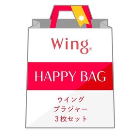 【ウィング/Wing】の【福袋】 ウイング ブラジャー 3枚セット A~Eカップ 人気、トレンドファッション・服の通販 founy(ファニー) ファッション Fashion レディースファッション WOMEN ブラジャー Bra ワイヤー Wire 福袋 ハッピーバッグ Lucky Bag Happy Bag |ID:prp329100004528086