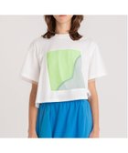 【アウラアイラ/AULA AILA】のMESH COMBINATION T-SHIRT 人気、トレンドファッション・服の通販 founy(ファニー) ファッション Fashion レディースファッション Fashion for Women トップス・カットソー Cut & Sew Tops シャツ・ブラウス・オフィスカジュアル Elegant Blouses & Button-Ups ロングTシャツ・Tシャツ Longline T-Shirts & Tees インナー Innerwear カットソー Cut and Sewn Top シアー Sheer, See-Through チュール Tulip, Tulip Motif フロント Front, Front Design ボトム Bottoms, Lower Wear メッシュ Mesh, Net Fabric 夏 Summer thumbnail OFF WHITE|ID: prp329100004529078 ipo3291000000032753879