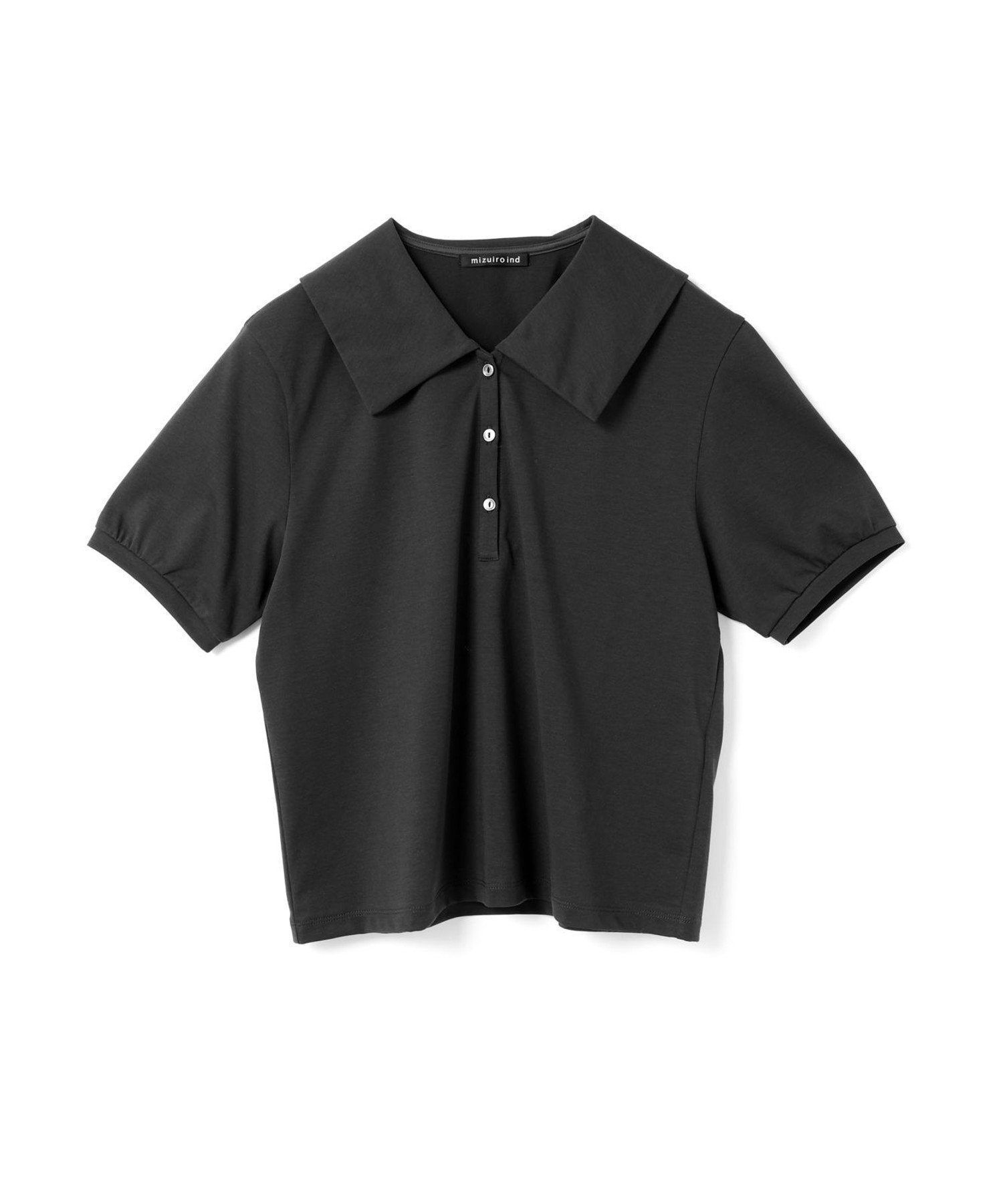 【マーコート/MARcourt】のmizuiro ind ワイドカラーポロシャツ インテリア・キッズ・メンズ・レディースファッション・服の通販 founy(ファニー) 　ファッション　Fashion　レディースファッション　WOMEN　トップス・カットソー　Tops/Tshirt　シャツ/ブラウス　Shirts/Blouses　ポロシャツ　Polo Shirts　カットソー　Cut And Sew　プレミアム　Premium　ベーシック　Basic　ポケット　Pocket　ポロシャツ　Polo Shirt　ワイド　Wide　夏　Summer　無地　Plain Color　ブラック|ID: prp329100004529354 ipo3291000000032024576