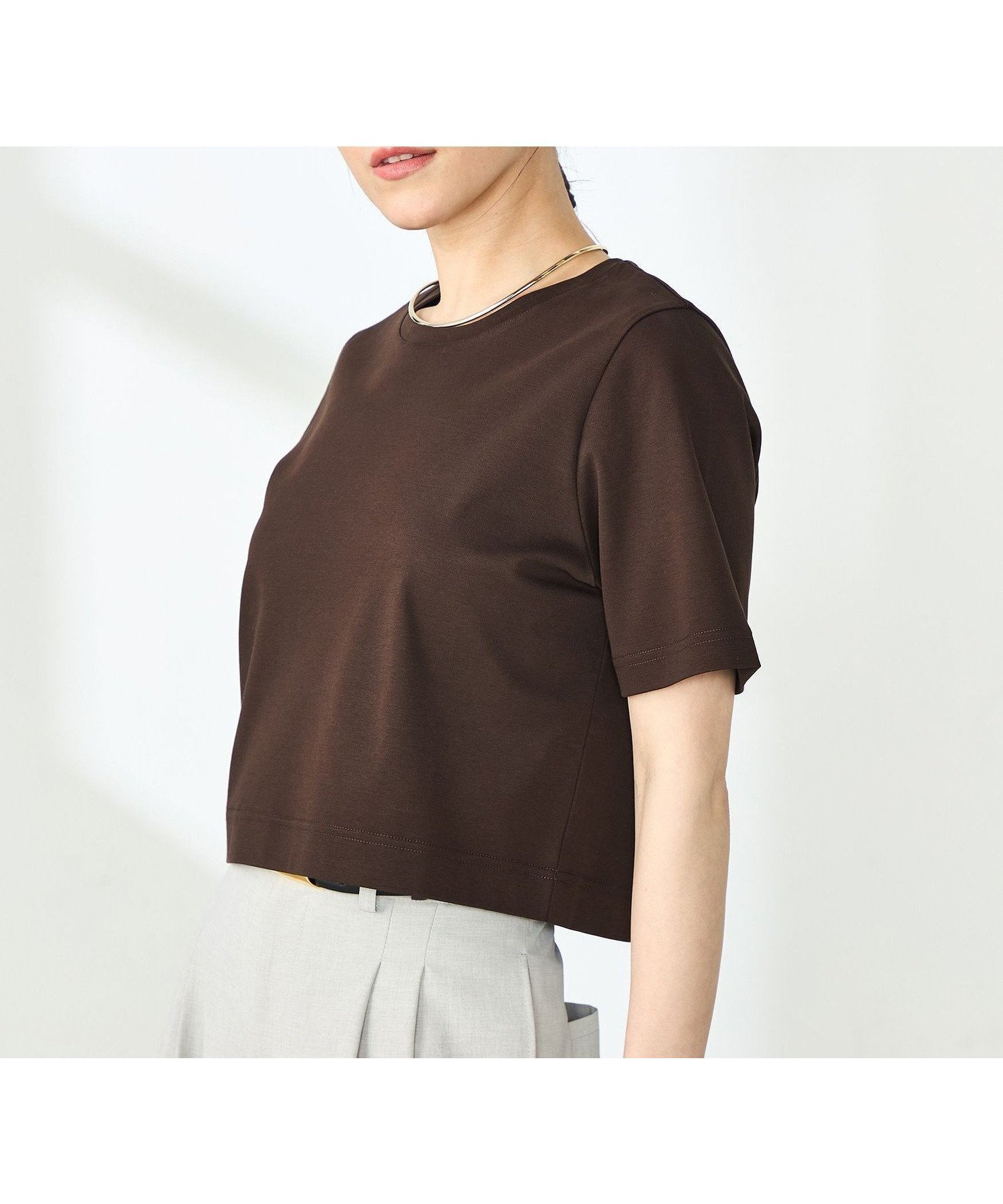【ノーリーズ/NOLLEY'S】のW W ショート丈Tシャツ インテリア・キッズ・メンズ・レディースファッション・服の通販 founy(ファニー) 　ファッション　Fashion　レディースファッション　Fashion for Women　トップス・カットソー　Cut & Sew Tops　シャツ・ブラウス・オフィスカジュアル　Elegant Blouses & Button-Ups　ロングTシャツ・Tシャツ　Longline T-Shirts & Tees　2025年　2025　2025春夏・S/S　Spring/Summer 2025 SS25　おすすめ　Recommended / Our Picks　ショート　Short, Short Length　ノースリーブ　Sleeveless, No-Sleeve　半袖　Short Sleeve, Half Sleeve　ビジネス 仕事 通勤　Business / Work / Commuting　ダークブラウン|ID: prp329100004531808 ipo3291000000033015222