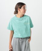 【ベイフロー/BAYFLOW】のピグメントロゴショートスリーブT 人気、トレンドファッション・服の通販 founy(ファニー) ファッション Fashion レディースファッション WOMEN おすすめ Recommend グラフィック Graphic ジャケット Jacket スラックス Slacks デニム Denim プリント Print 今季 This Season 夏 Summer 定番 Standard 春 Spring S/S・春夏 Ss・Spring/Summer thumbnail セージ71|ID: prp329100004533887 ipo3291000000032044140