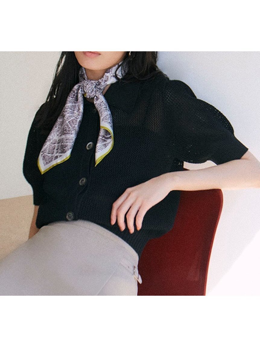 【フレイ アイディー/FRAY I.D】のダイヤメッシュポロカーディガン インテリア・キッズ・メンズ・レディースファッション・服の通販 founy(ファニー) 　ファッション　Fashion　レディースファッション　WOMEN　トップス・カットソー　Tops/Tshirt　カーディガン　Cardigans　おすすめ　Recommend　ショート　Short　トレンド　Trend　メッシュ　Mesh　夏　Summer　BLK[009]|ID: prp329100004534211 ipo3291000000032045429
