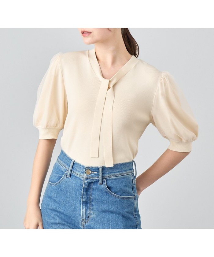 【アナイ/ANAYI】のチュールスリーブ プルオーバー インテリア・キッズ・メンズ・レディースファッション・服の通販 founy(ファニー) https://founy.com/ ファッション Fashion レディースファッション WOMEN トップス・カットソー Tops/Tshirt プルオーバー Pullover コンパクト Compact チュール Tulle 半袖 Short Sleeve リラックス Relax 再入荷 Restock/Back In Stock/Re Arrival エレガント 上品 Elegant |ID: prp329100004534220 ipo3291000000032045463