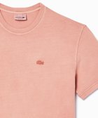 【ラコステ/LACOSTE】のナチュラルダイワントーンTシャツ 人気、トレンドファッション・服の通販 founy(ファニー) ファッション Fashion レディースファッション WOMEN トップス・カットソー Tops/Tshirt シャツ/ブラウス Shirts/Blouses ロング / Tシャツ T-Shirts モダン Modern ヴィンテージ Vintage 半袖 Short Sleeve thumbnail ピンク|ID: prp329100004534528 ipo3291000000032046697