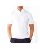 【ドレステリア/DRESSTERIOR / MEN】の【干場義雅*DRESSTERIOR】ニットポロシャツ 人気、トレンドファッション・服の通販 founy(ファニー) ファッション Fashion メンズファッション Men's Style Online インナー Inner コラボ Collaboration コンパクト Compact シルク Silk ブラウジング Browsing ポロシャツ Polo Shirt 定番 Standard thumbnail ホワイト|ID: prp329100004534590 ipo3291000000032658658