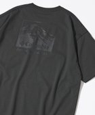 【その他のブランド/Other】のColumbia×FREAK S STORE / コロンビア 別注 インペリアルパーク バックプリント クルーネックTシャツ 【限定展開】 25SS チャコールグレー-白黒プリント|ID: prp329100004538918 ipo3291000000032643706