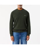 【ラコステ/LACOSTE / MEN】のエッセンシャルウールニットセーター 人気、トレンドファッション・服の通販 founy(ファニー) ファッション Fashion メンズファッション Fashion for Men クラシック Classic, Timeless Style thumbnail ダークグリーン|ID: prp329100004539073 ipo3291000000033484494