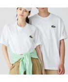 【ラコステ/LACOSTE】のシェニールワニロゴ オーバーサイズ半袖Tシャツ / ルーズフィットT ホワイト|ID: prp329100004539098 ipo3291000000032679131