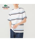 【ビームス/BEAMS / MEN】の【別注】LACOSTE / ボーダーTシャツ 25SS 半袖 メンズ コットン100% BLANC|ID: prp329100004544344 ipo3291000000033495993