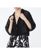 【ラシュッド/LASUD】のメッシュショートジャケット 人気、トレンドファッション・服の通販 founy(ファニー) ファッション Fashion レディースファッション WOMEN アウター Coat Outerwear ジャケット Jackets おすすめ Recommend ショート Short ジャケット Jacket メッシュ Mesh エレガント 上品 Elegant 今季 This Season 軽量 Lightweight thumbnail ブラック|ID: prp329100004545805 ipo3291000000032119892