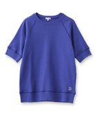 【ドレステリア/DRESSTERIOR】のラグランハーフスリーブプルオーバー 人気、トレンドファッション・服の通販 founy(ファニー) ファッション Fashion レディースファッション WOMEN トップス・カットソー Tops/Tshirt プルオーバー Pullover コンパクト Compact シンプル Simple スリーブ Sleeve thumbnail ブルー|ID: prp329100004546301 ipo3291000000032294277