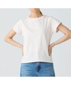 【ラコステ/LACOSTE】のコンパクトブランドネームロゴTシャツ ライトピンク|ID: prp329100004547058 ipo3291000000032641353