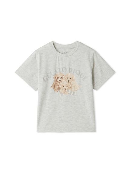 【ジェラート ピケ/gelato pique / KIDS】の【KIDS】トイプードルワンポイントTシャツ インテリア・キッズ・メンズ・レディースファッション・服の通販 founy(ファニー) 　ファッション　Fashion　キッズファッション　Fashion for Kids　おすすめ　Recommended / Our Picks　カットソー　Cut and Sewn Top　ショート　Short, Short Length　プリント　Print, Printed Pattern　ボーダー　Border, Stripe　モチーフ　Motif, Design Theme　ワンポイント　One Point, Statement Accent　GRY[006]|ID: prp329100004550136 ipo3291000000032971410