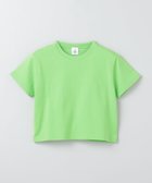【ビューティ&ユース ユナイテッドアローズ/BEAUTY&YOUTH / UNITED ARROWS】の6(ROKU) コットン クロップド Tシャツ LIME|ID: prp329100004550176 ipo3291000000034919215