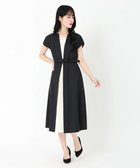 【ストロベリーフィールズ/STRAWBERRY FIELDS】のセンタープリーツ半袖ワンピース 人気、トレンドファッション・服の通販 founy(ファニー) ファッション Fashion レディースファッション WOMEN ワンピース Dress センター Center プリーツ Pleats 半袖 Short Sleeve thumbnail ブラック2|ID: prp329100004552338 ipo3291000000032316428