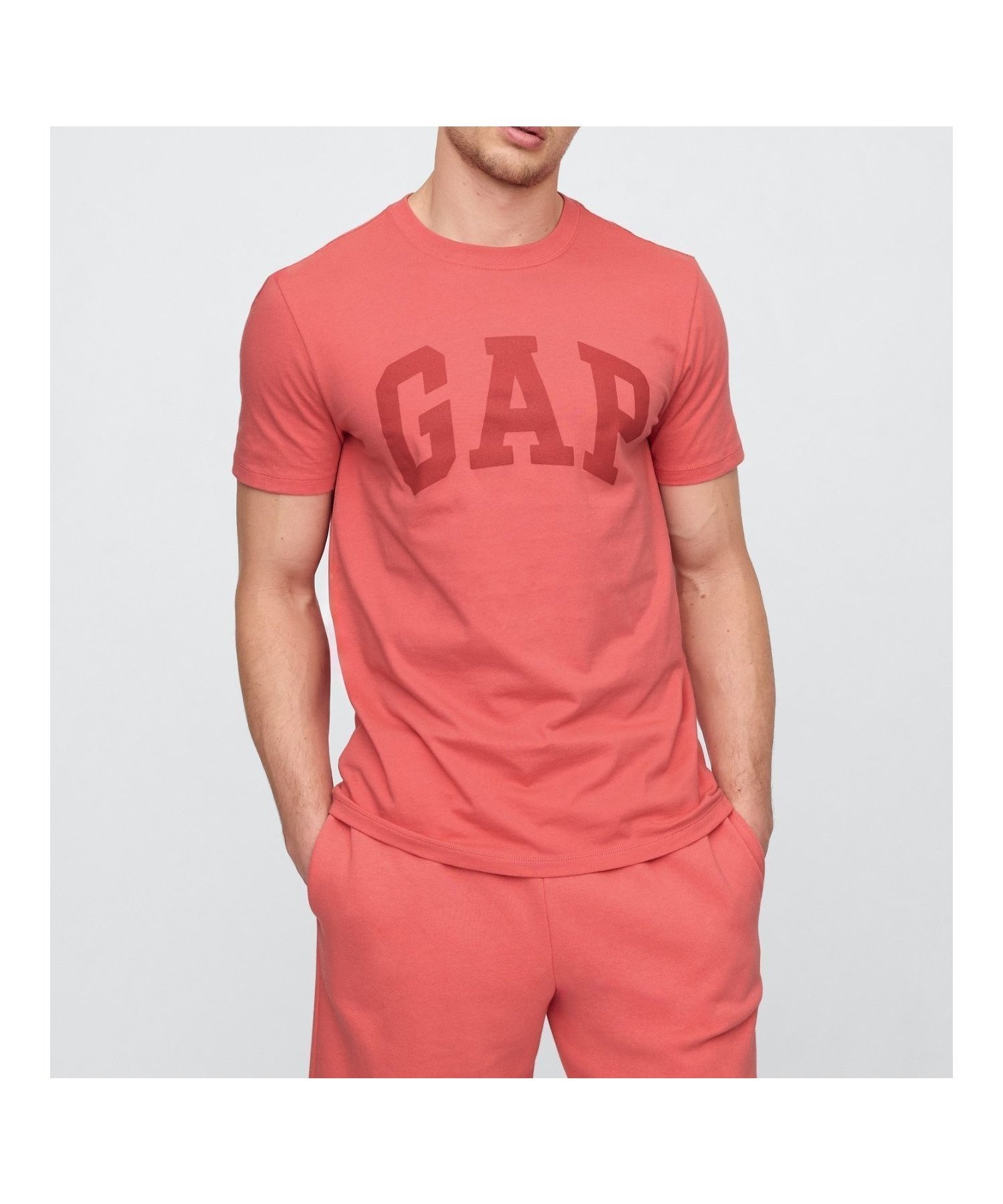 【ギャップ/GAP】のエブリディ ソフト GAPロゴTシャツ(ユニセックス) インテリア・キッズ・メンズ・レディースファッション・服の通販 founy(ファニー) 　ファッション　Fashion　レディースファッション　Ladies' Fashion Online　トップス・カットソー　Tops/Tshirt　シャツ/ブラウス　Shirts/Blouses　ロング / Tシャツ　T-Shirts　ジャージー　Jersey　ストレート　Straight　フィット　Fit　フロント　Front　リラックス　Relax　半袖　Short Sleeve　WATERMELON_ICE|ID: prp329100004552361 ipo3291000000032622578