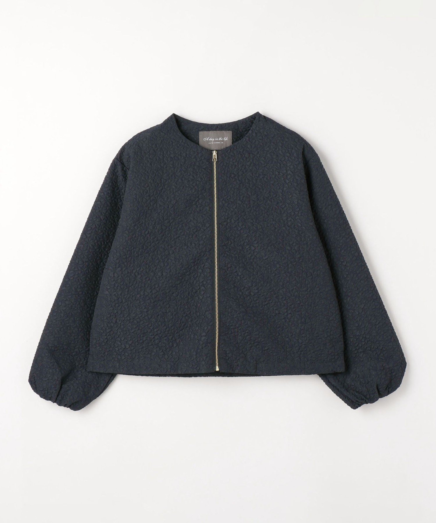 【その他のブランド/Other】のエンボス クルーネックブルゾン -ウォッシャブル- A DAY IN THE LIFE 人気、トレンドファッション・服の通販 founy(ファニー) 　ファッション　Fashion　レディースファッション　Fashion for Women　アウター　Coat / Outerwear Collection　ブルゾンジャケット・スポーティアウター　Blouson Jackets　ウォッシャブル　Machine Washable　シンプル　Simple, Minimal　ティアードスカート　Tiered Skirt, Flounced Skirt　バランス　Balance, Style Balance　フェミニン　Feminine, Girly　ブラウジング　Blouson Silhouette, Cinched Waist　ワイド　Wide, Wide Fit　 other-1|ID: prp329100004555224 ipo3291000000033166323