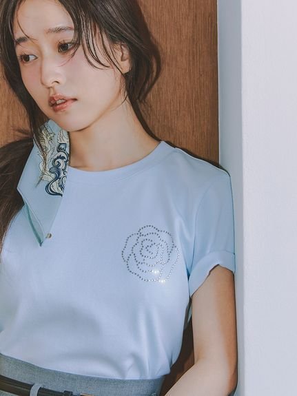 【スナイデル/SNIDEL】のORGANICSラインストーンTシャツ インテリア・キッズ・メンズ・レディースファッション・服の通販 founy(ファニー) 　ファッション　Fashion　レディースファッション　Ladies' Fashion Online　トップス・カットソー　Tops/Tshirt　シャツ/ブラウス　Shirts/Blouses　ロング / Tシャツ　T-Shirts　イエロー　Yellow　オーガニック　Organic　春　Spring　シルバー　Silver　シンプル　Simple　ジャケット　Jacket　ストレート　Straight　ストーン　Stone　トレンド　Trend　フィット　Fit　モチーフ　Motif　リボン　Ribbon　S/S・春夏　Ss・Spring/Summer　おすすめ　Recommend　夏　Summer　E[905]|ID: prp329100004555346 ipo3291000000032608904