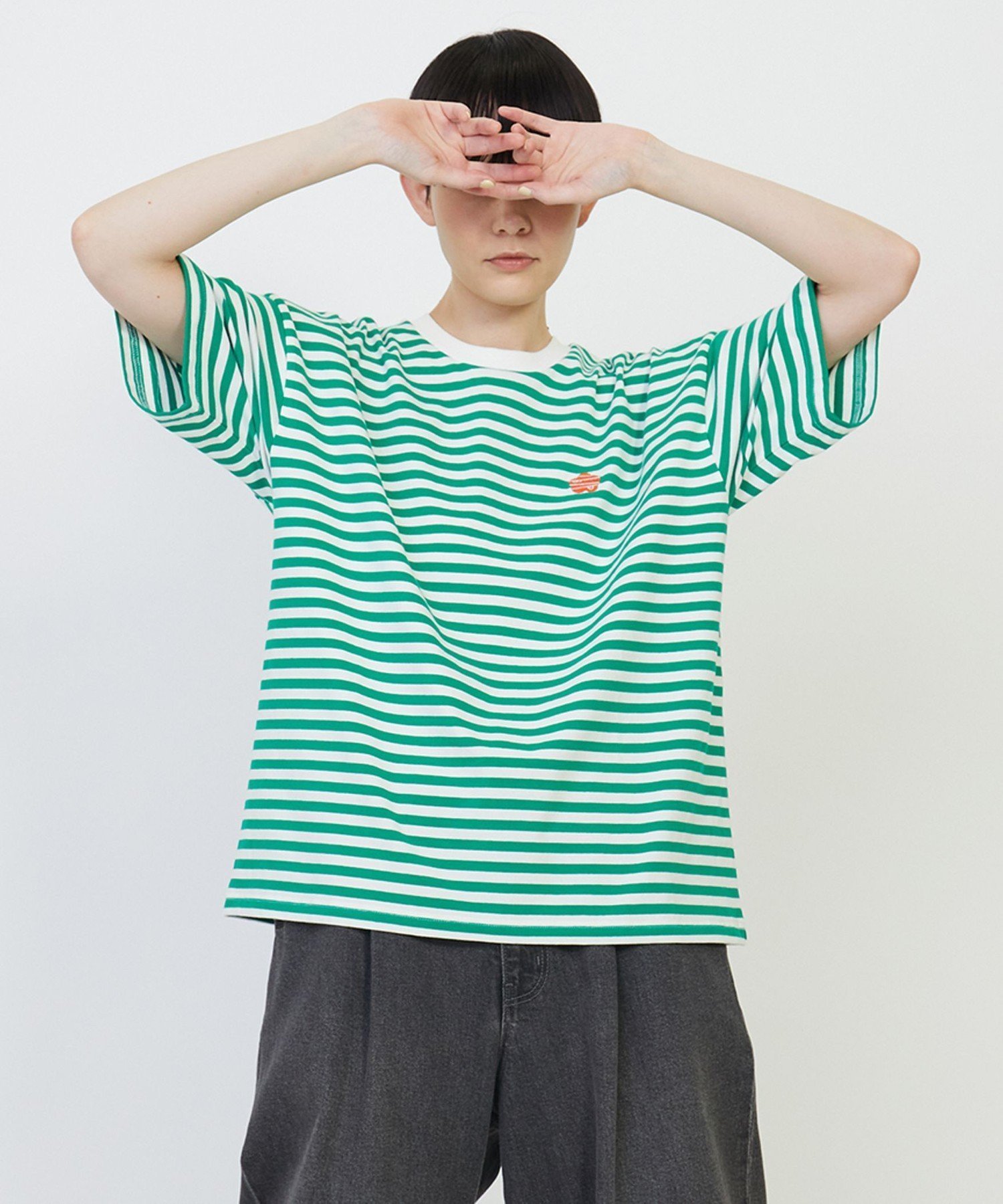 【フラボア/FRAPBOIS】のパークボーダーT インテリア・キッズ・メンズ・レディースファッション・服の通販 founy(ファニー) 　ファッション　Fashion　レディースファッション　Fashion for Women　ショート　Short, Short Length　スリーブ　Sleeve, Long Sleeve / Short Sleeve　プリント　Print, Printed Pattern　ボーダー　Border, Stripe　ロング　Long, Long-Length　定番　Standard, Basic Item　ホワイト×グリーン|ID: prp329100004556163 ipo3291000000032714149