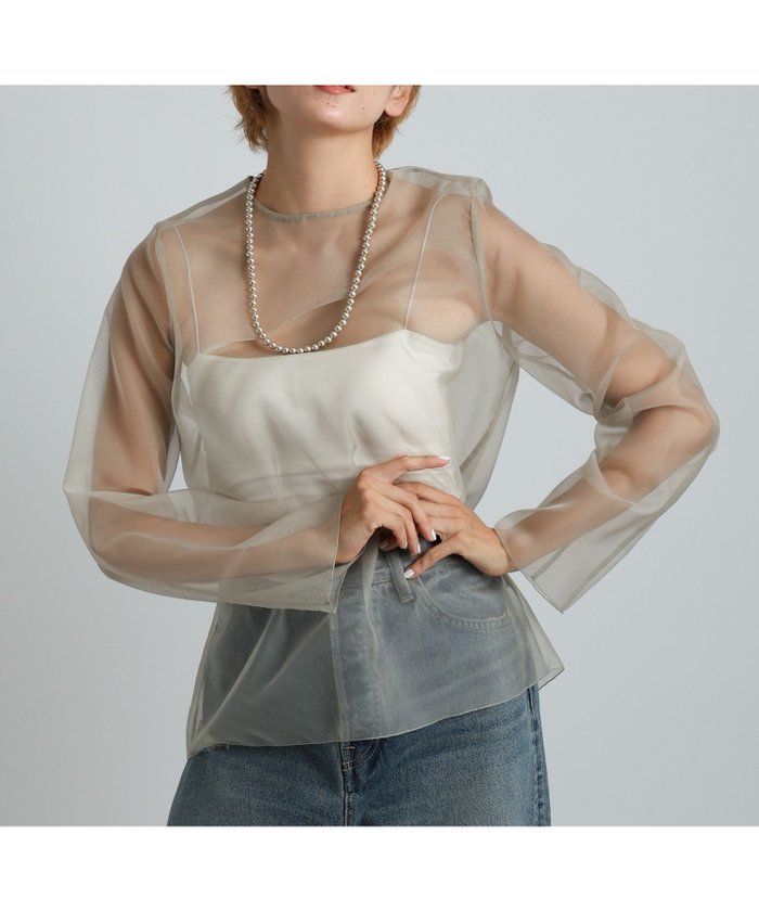 【ブリル/BRILL】のオーガンジートップス インテリア・キッズ・メンズ・レディースファッション・服の通販 founy(ファニー) https://founy.com/ ファッション Fashion レディースファッション WOMEN トップス・カットソー Tops/Tshirt インナー Inner オーガンジー Organdy シアー Sheer |ID: prp329100004562829 ipo3291000000032263610