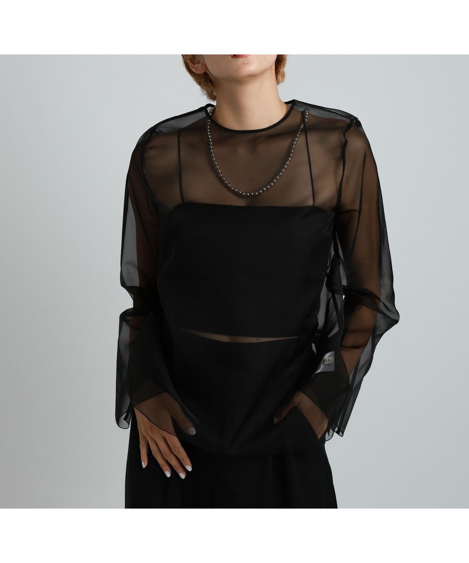 【ブリル/BRILL】のオーガンジートップス インテリア・キッズ・メンズ・レディースファッション・服の通販 founy(ファニー) 　ファッション　Fashion　レディースファッション　WOMEN　トップス・カットソー　Tops/Tshirt　インナー　Inner　オーガンジー　Organdy　シアー　Sheer　ブラック|ID: prp329100004562829 ipo3291000000032263614
