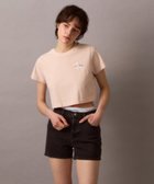 【カルバンクライン/Calvin Klein】のCalvin Klein Jeans/【公式ショップ】 カルバンクライン モノロゴ クロップド Tシャツ Calvin Klein Jeans 47AB806 人気、トレンドファッション・服の通販 founy(ファニー) ファッション Fashion レディースファッション Ladies' Fashion Online トップス・カットソー Tops/Tshirt シャツ/ブラウス Shirts/Blouses ロング / Tシャツ T-Shirts クロップド Cropped ショート Short シンプル Simple スリーブ Sleeve ワイド Wide thumbnail Silver Peony|ID: prp329100004564644 ipo3291000000032690263