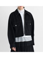 【ラシュッド/LASUD】のデニムジップブルゾン 人気、トレンドファッション・服の通販 founy(ファニー) ファッション Fashion レディースファッション WOMEN アウター Coat Outerwear ブルゾン Blouson/Jackets おすすめ Recommend ウォッシュ Wash ショート Short スタイリッシュ Stylish デニム Denim トレンド Trend バランス Balance フロント Front ポケット Pocket ワイド Wide thumbnail ブラック|ID: prp329100004565671 ipo3291000000032289158