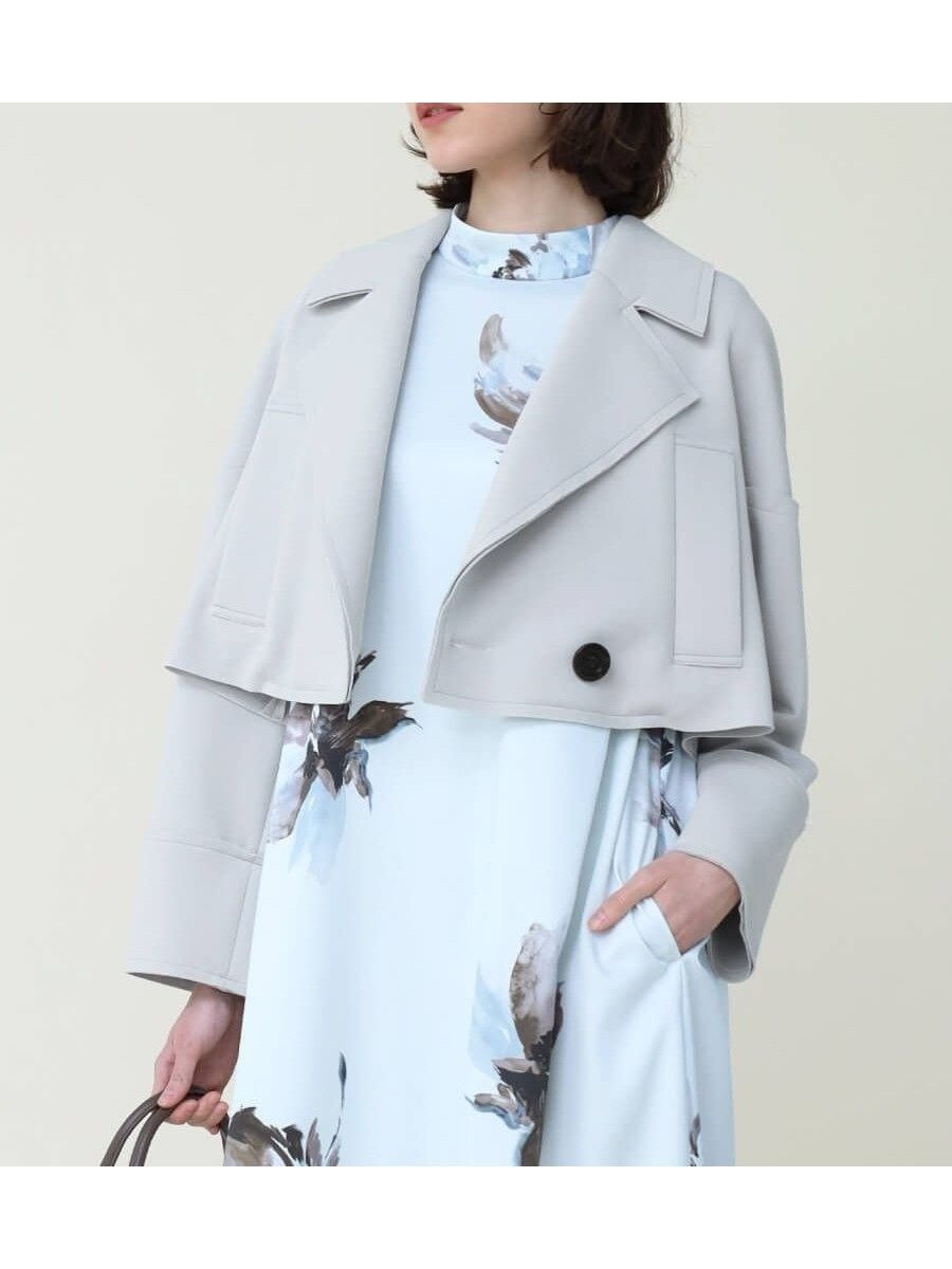 【ラシュッド/LASUD】のダンボールジャージーショートジャケット インテリア・キッズ・メンズ・レディースファッション・服の通販 founy(ファニー) 　ファッション　Fashion　レディースファッション　Fashion for Women　アウター　Coat / Outerwear Collection　レディースジャケット・軽アウター　Jackets　コンパクト　Compact, Small Size　軽量　Lightweight, Ultra Light　ジャケット　Jacket, Outerwear　ストレッチ　Stretch, Stretchy Fabric　テーラード　Tailored, Tailored Fit　ワイド　Wide, Wide Fit　おすすめ　Recommended / Our Picks　ライトグレー|ID: prp329100004565692 ipo3291000000032693530