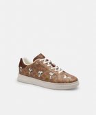 【その他のブランド/Other】の【COACH X PEANUTS】ハイ ライン スニーカー・シグネチャー キャンバス・スヌーピー プリント BEIGE|ID: prp329100004566109 ipo3291000000032568984