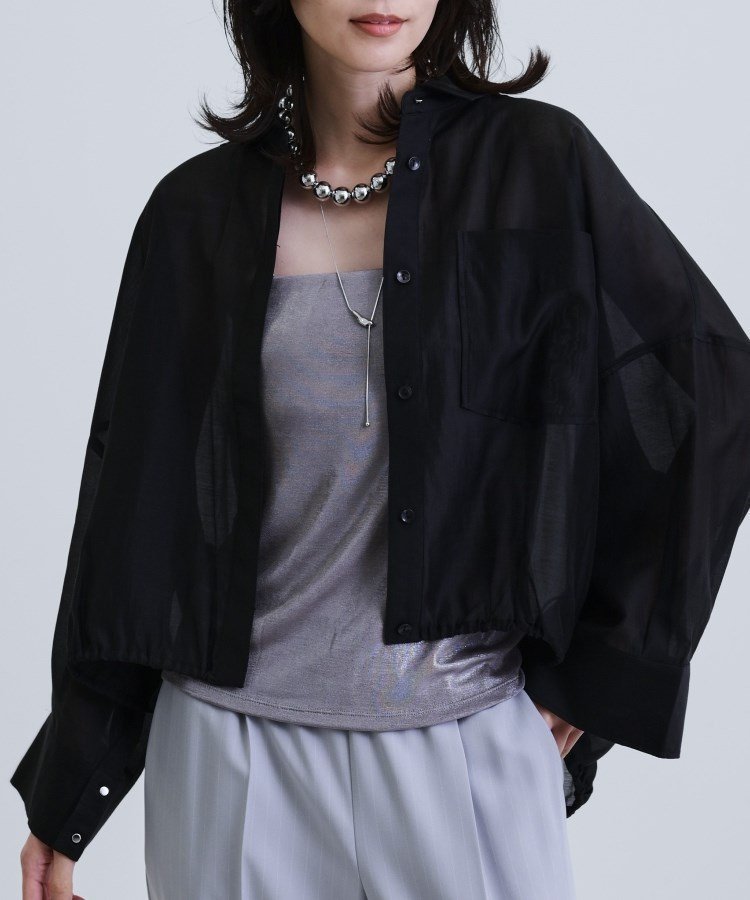 【インディヴィ/INDIVI】のシアーローンステンカラーシャツ/シアーシャツ/シアートップス/夏服 インテリア・キッズ・メンズ・レディースファッション・服の通販 founy(ファニー) 　ファッション　Fashion　レディースファッション　Fashion for Women　トップス・カットソー　Cut & Sew Tops　シャツ・ブラウス・オフィスカジュアル　Elegant Blouses & Button-Ups　アクセサリー　Fashion Accessories　シアー　Sheer, See-Through　シンプル　Simple, Minimal　スリーブ　Sleeve, Long Sleeve / Short Sleeve　デニム　Denim, Jeans Material　バランス　Balance, Style Balance　ルーズ　Loose, Oversized　ワイド　Wide, Wide Fit　夏　Summer　ブラック|ID: prp329100004566119 ipo3291000000032792360