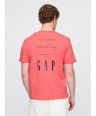 【ギャップ/GAP】のヘビーウェイト GAPロゴTシャツ 人気、トレンドファッション・服の通販 founy(ファニー) ファッション Fashion レディースファッション WOMEN トップス・カットソー Tops/Tshirt シャツ/ブラウス Shirts/Blouses ロング / Tシャツ T-Shirts おすすめ Recommend ストレート Straight フィット Fit リラックス Relax 半袖 Short Sleeve thumbnail WATERMELON_ICE|ID: prp329100004574422 ipo3291000000032383062