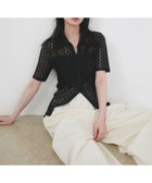 【リアン/Lian】のフラワーレース半袖ポロシャツ 人気、トレンドファッション・服の通販 founy(ファニー) ファッション Fashion レディースファッション Fashion for Women トップス・カットソー Cut & Sew Tops シャツ・ブラウス・オフィスカジュアル Elegant Blouses & Button-Ups ポロシャツ・きれいめカジュアル Smart-Casual Polo Tops フラワー Flower, Floral ポロシャツ Polo Shirt, Collared Tee レース Lace, Lace Fabric 半袖 Short Sleeve, Half Sleeve thumbnail ブラック|ID: prp329100004577199 ipo3291000000033547597