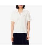 【ラコステ/LACOSTE】のサイドスリット スキッパーネック ドレープポロシャツ 人気、トレンドファッション・服の通販 founy(ファニー) ファッション Fashion レディースファッション Fashion for Women トップス・カットソー Cut & Sew Tops シャツ・ブラウス・オフィスカジュアル Elegant Blouses & Button-Ups ポロシャツ・きれいめカジュアル Smart-Casual Polo Tops エレガント 上品 Elegant スキッパー Skipper, Open Collar スリット Slit, Slit Detail ドレープ Drape, Draping Fabric 鹿の子 Piqué, Kanoko Fabric thumbnail ホワイト|ID: prp329100004577363 ipo3291000000032788385