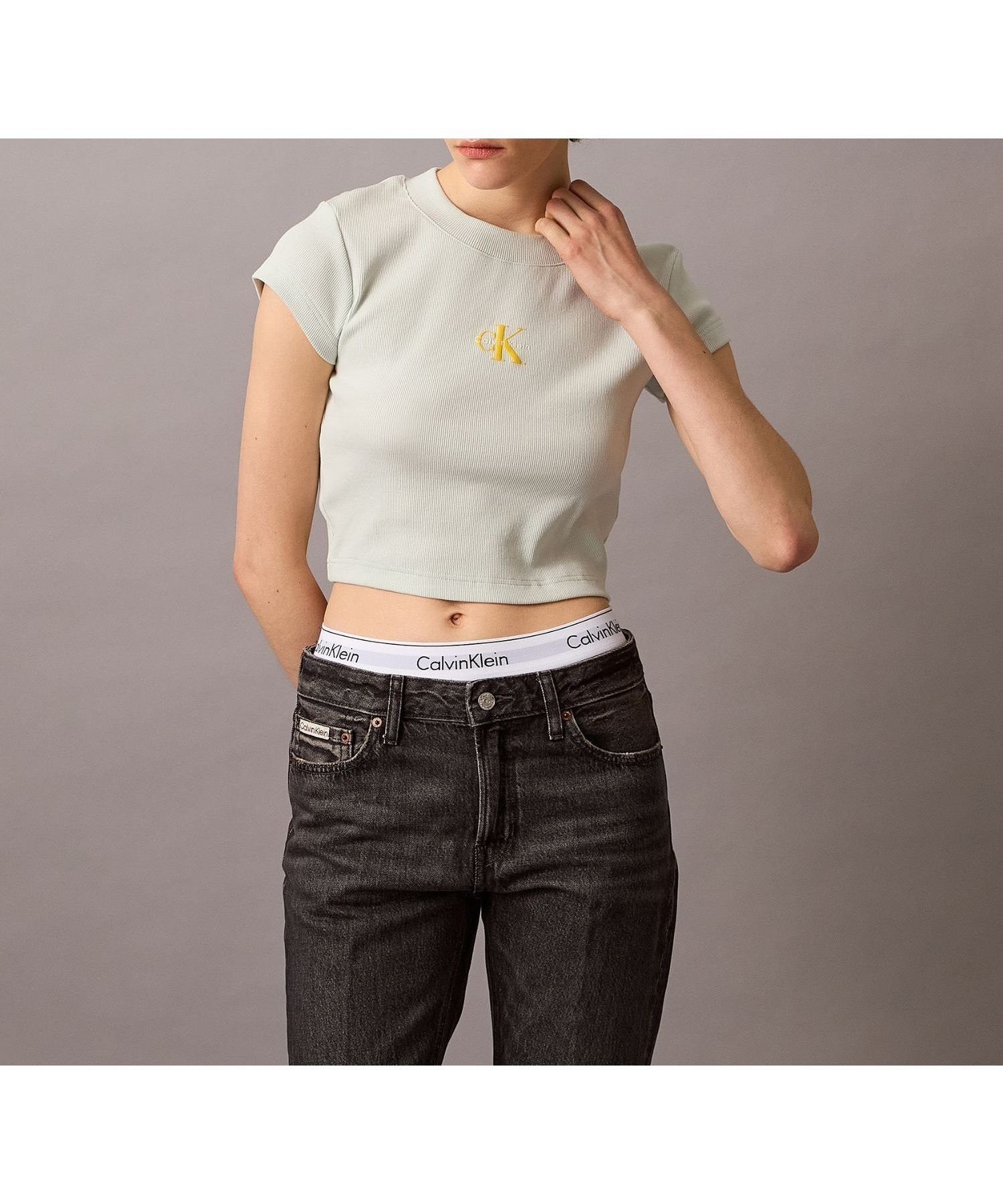 【カルバンクライン/Calvin Klein】の【公式ショップ】 カルバンクライン モノグラム ベイビーTシャツ Calvin Klein Jeans 47AB802 インテリア・キッズ・メンズ・レディースファッション・服の通販 founy(ファニー) 　ファッション　Fashion　レディースファッション　Ladies' Fashion Online　トップス・カットソー　Tops/Tshirt　シャツ/ブラウス　Shirts/Blouses　ロング / Tシャツ　T-Shirts　エンブロイダリー　Embroidery　フィット　Fit　Sprout Green|ID: prp329100004579927 ipo3291000000032479056