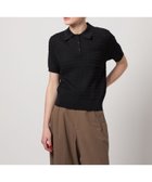 【ビューティ&ユース ユナイテッドアローズ/BEAUTY&YOUTH / UNITED ARROWS】のSteven Alan ケーブル ポロニット 人気、トレンドファッション・服の通販 founy(ファニー) ファッション Fashion レディースファッション Fashion for Women トップス・カットソー Cut & Sew Tops ニット Knit Tops & Sweaters コンパクト Compact, Small Size ショート Short, Short Length シンプル Simple, Minimal スリーブ Sleeve, Long Sleeve / Short Sleeve フロント Front, Front Design ポケット Pocket, Pocket Detail エレガント 上品 Elegant 夏 Summer 春 Spring S/S・春夏 SS, Spring/Summer, Warm Season thumbnail BLACK|ID: prp329100004581451 ipo3291000000033621282