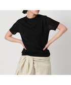 【ビューティ&ユース ユナイテッドアローズ/BEAUTY&YOUTH / UNITED ARROWS】のコットンナイロン天竺 シアー クルーネック ショートスリーブTシャツ BLACK|ID: prp329100004584894 ipo3291000000032730689