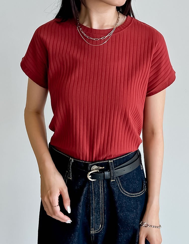 【リエディ/Re:EDIT】の汗じみ防止 リブカットソーTシャツ インテリア・キッズ・メンズ・レディースファッション・服の通販 founy(ファニー) 　ファッション　Fashion　レディースファッション　Fashion for Women　トップス・カットソー　Cut & Sew Tops　シャツ・ブラウス・オフィスカジュアル　Elegant Blouses & Button-Ups　ロングTシャツ・Tシャツ　Longline T-Shirts & Tees　カットソー・ベーシックTシャツ　Cut-and-Sewn Tops / Stretch Tees & Basics　インナー　Innerwear　キャミワンピース　Cami Dress, Slip Dress　吸水　Absorbent, Quick-Dry　サロペット　Overalls, Salopette　シンプル　Simple, Minimal　スラックス　Slacks, Dress Pants　スリット　Slit, Slit Detail　スリーブ　Sleeve, Long Sleeve / Short Sleeve　フレンチ　French, French Style　ベーシック　Basic, Essential　夏　Summer　ディープレッド|ID: prp329100004584999 ipo3291000000033634363