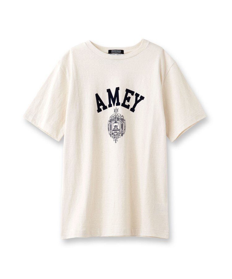 【ドレステリア/DRESSTERIOR】のAmericana(アメリカーナ)【別注】カレッジTシャツ インテリア・キッズ・メンズ・レディースファッション・服の通販 founy(ファニー) 　ファッション　Fashion　レディースファッション　Ladies' Fashion Online　トップス・カットソー　Tops/Tshirt　シャツ/ブラウス　Shirts/Blouses　ロング / Tシャツ　T-Shirts　シンプル　Simple　プリント　Print　ヴィンテージ　Vintage　別注　Special Order　夏　Summer　ベージュ|ID: prp329100004594523 ipo3291000000032639468