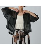 【レプシィム ローリーズファーム/LEPSIM LOWRYS FARM】のショートシアー5分袖シャツ 人気、トレンドファッション・服の通販 founy(ファニー) ファッション Fashion レディースファッション Ladies' Fashion Online トップス・カットソー Tops/Tshirt シャツ/ブラウス Shirts/Blouses おすすめ Recommend キャミワンピース Cami Dress ショート Short シンプル Simple スリーブ Sleeve ワイド Wide thumbnail ブラック09|ID: prp329100004595547 ipo3291000000032654049