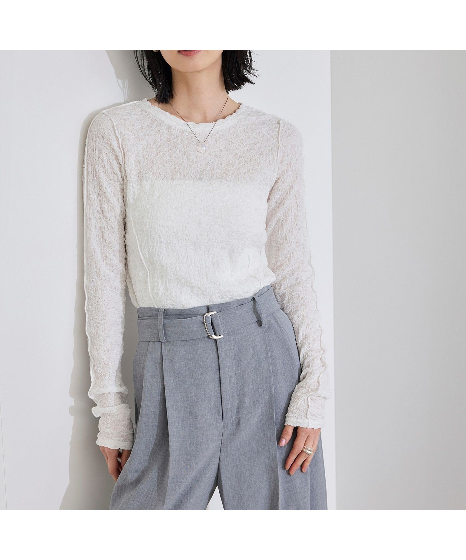 【ロペ/ROPE'】の【WEB・一部店舗限定】ストレッチシアー レースカットソー/洗える インテリア・キッズ・メンズ・レディースファッション・服の通販 founy(ファニー) 　ファッション　Fashion　レディースファッション　Ladies' Fashion Online　トップス・カットソー　Tops/Tshirt　カットソー　Cut and Sewn　おすすめ　Recommend　シアー　Sheer　シンプル　Simple　ジャケット　Jacket　ストレッチ　Stretch　レース　Race　洗える　Washable　ホワイト系(11)|ID: prp329100004595593 ipo3291000000032654557