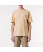 【ラコステ/LACOSTE / MEN】のヘビーウェイト オーバーサイズバックプリントベーシック半袖Tシャツ 人気、トレンドファッション・服の通販 founy(ファニー) ファッション Fashion メンズファッション Men's Style Online フィット Fit プリント Print ベーシック Basic ルーズ Loose ワンポイント One Point 半袖 Short Sleeve 定番 Standard thumbnail ベージュ|ID: prp329100004595718 ipo3291000000032656112