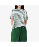 【ラコステ/LACOSTE】のエッセンシャルボーダー半袖Tシャツ ホワイト|ID: prp329100004596865 ipo3291000000032668884