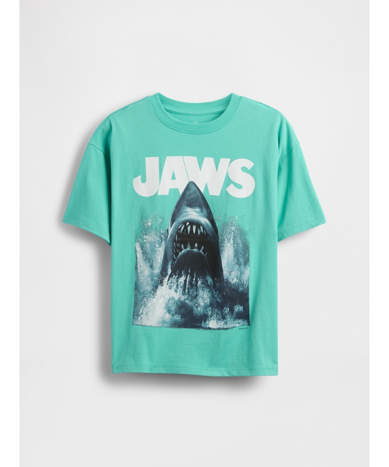 【ギャップ/GAP / KIDS】のヘビーウェイト オーガニックコットン グラフィックTシャツ (キッズ) インテリア・キッズ・メンズ・レディースファッション・服の通販 founy(ファニー) 　ファッション　Fashion　キッズファッション　KIDS Children’s Clothing　グラフィック　Graphic　ストレート　Straight　フィット　Fit　フロント　Front　半袖　Short Sleeve　おすすめ　Recommend　WATER GARDEN GREEN|ID: prp329100004597170 ipo3291000000032672163