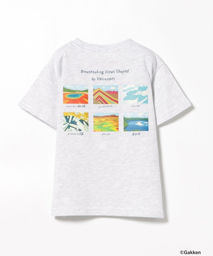 【その他のブランド/Other】の【別注】学研の図鑑LIVE / 地球 Tシャツ (100~150cm) インテリア・キッズ・メンズ・レディースファッション・服の通販 founy(ファニー) https://founy.com/ ファッション Fashion キッズファッション Fashion for Kids イラスト Illustration グラフィック Graphic, Graphic Design スマート Smart, Elegant プリント Print, Printed Pattern 別注 Limited Edition, Custom Order |ID: prp329100004598917 ipo3291000000032995658
