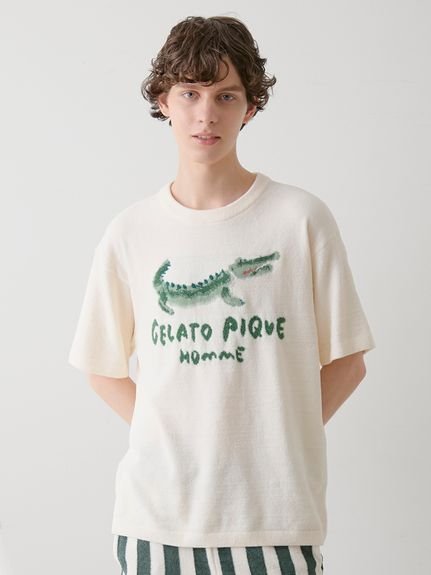 【ジェラートピケ オム/GELATO PIQUE HOMME / MEN】の【HOMME】エアリーモコ ワニジャガードプルオーバー インテリア・キッズ・メンズ・レディースファッション・服の通販 founy(ファニー) https://founy.com/ ファッション Fashion メンズファッション Men's Style Online トップス・カットソー Tops/Tshirt/Men おすすめ Recommend コレクション Collection 夏 Summer 手描き Hand Drawn |ID: prp329100004600160 ipo3291000000032701465