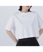 【ナチュラル ビューティー ベーシック/NATURAL BEAUTY BASIC】のメタルポイントクロップドTシャツ オフ1|ID: prp329100004602442 ipo3291000000032726587