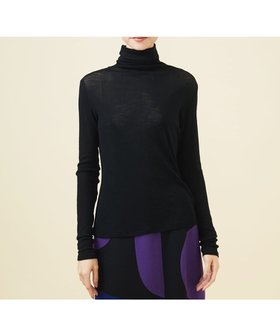 【シビラ/SYBILLA】のハイネックウールカットソー 人気、トレンドファッション・服の通販 founy(ファニー) ファッション Fashion レディースファッション Fashion for Women トップス・カットソー Cut & Sew Tops カットソー・ベーシックTシャツ Cut-and-Sewn Tops / Stretch Tees & Basics インナー Innerwear コンパクト Compact, Small Size シンプル Simple, Minimal スマート Smart, Elegant タートルネック Turtleneck, High Neck フィット Fit, Slim Fit 人気 Popular, Best Seller 定番 Standard, Basic Item A/W・秋冬 Autumn/Winter |ID:prp329100004603278