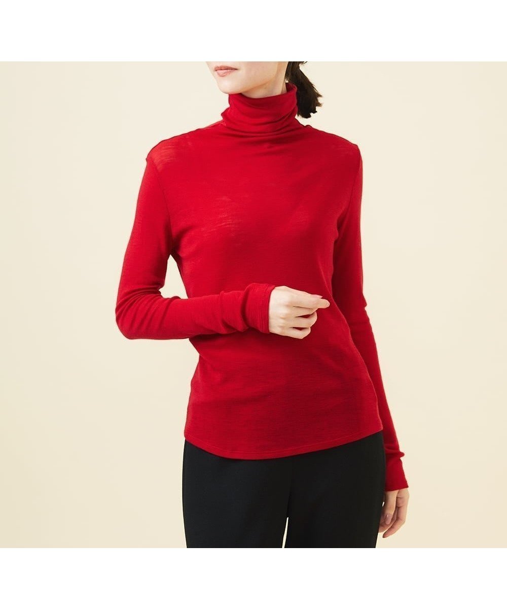 【シビラ/SYBILLA】のハイネックウールカットソー インテリア・キッズ・メンズ・レディースファッション・服の通販 founy(ファニー) 　ファッション　Fashion　レディースファッション　Fashion for Women　トップス・カットソー　Cut & Sew Tops　カットソー・ベーシックTシャツ　Cut-and-Sewn Tops / Stretch Tees & Basics　インナー　Innerwear　コンパクト　Compact, Small Size　シンプル　Simple, Minimal　スマート　Smart, Elegant　タートルネック　Turtleneck, High Neck　フィット　Fit, Slim Fit　人気　Popular, Best Seller　定番　Standard, Basic Item　A/W・秋冬　Autumn/Winter　レッド|ID: prp329100004603278 ipo3291000000032740875