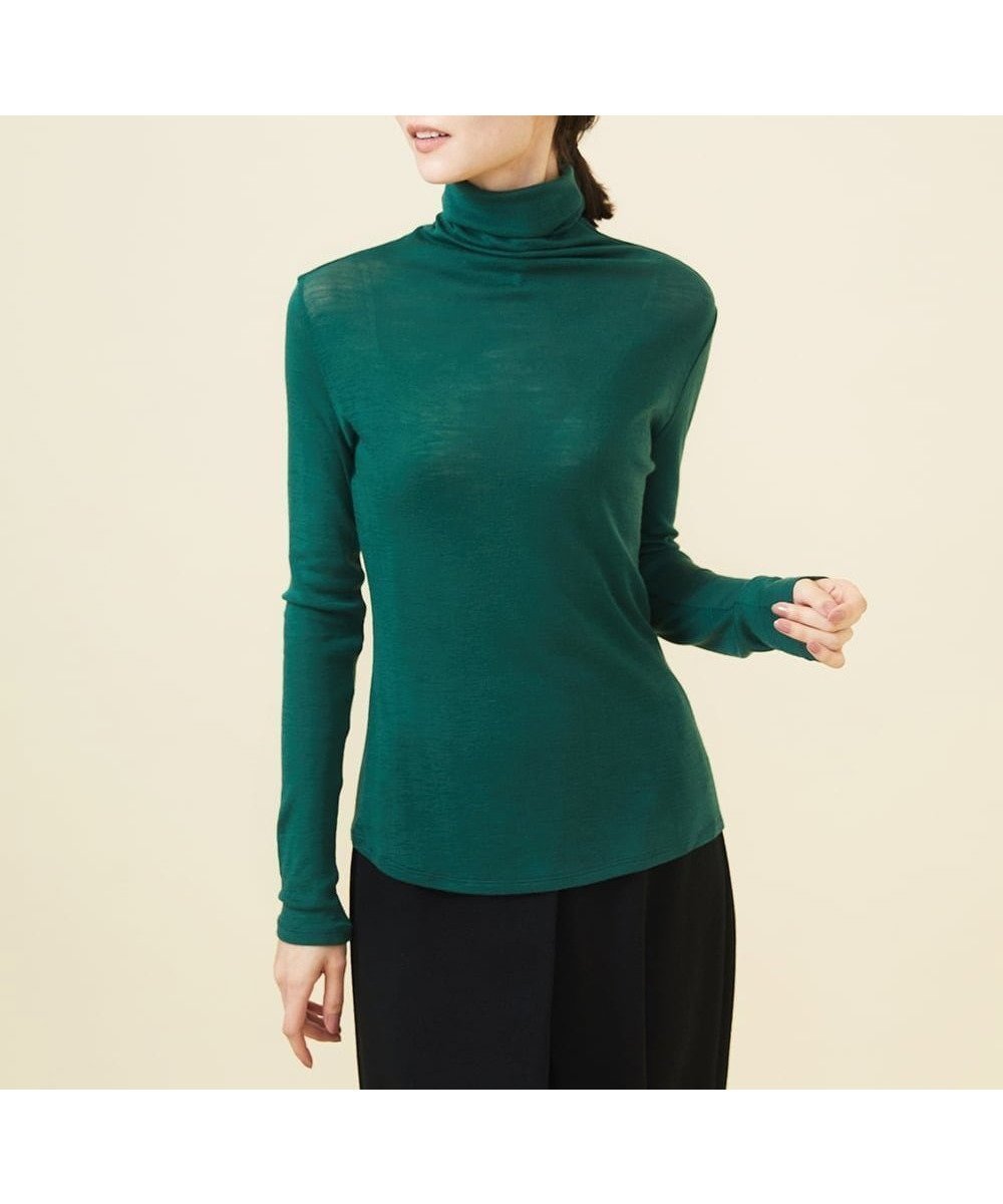 【シビラ/SYBILLA】のハイネックウールカットソー インテリア・キッズ・メンズ・レディースファッション・服の通販 founy(ファニー) 　ファッション　Fashion　レディースファッション　Fashion for Women　トップス・カットソー　Cut & Sew Tops　カットソー・ベーシックTシャツ　Cut-and-Sewn Tops / Stretch Tees & Basics　インナー　Innerwear　コンパクト　Compact, Small Size　シンプル　Simple, Minimal　スマート　Smart, Elegant　タートルネック　Turtleneck, High Neck　フィット　Fit, Slim Fit　人気　Popular, Best Seller　定番　Standard, Basic Item　A/W・秋冬　Autumn/Winter　グリーン|ID: prp329100004603278 ipo3291000000032740879